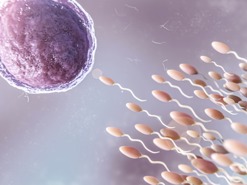 beautiful-fertility-concept-3d-rendering (1)